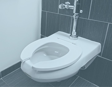 beneke toilet seat